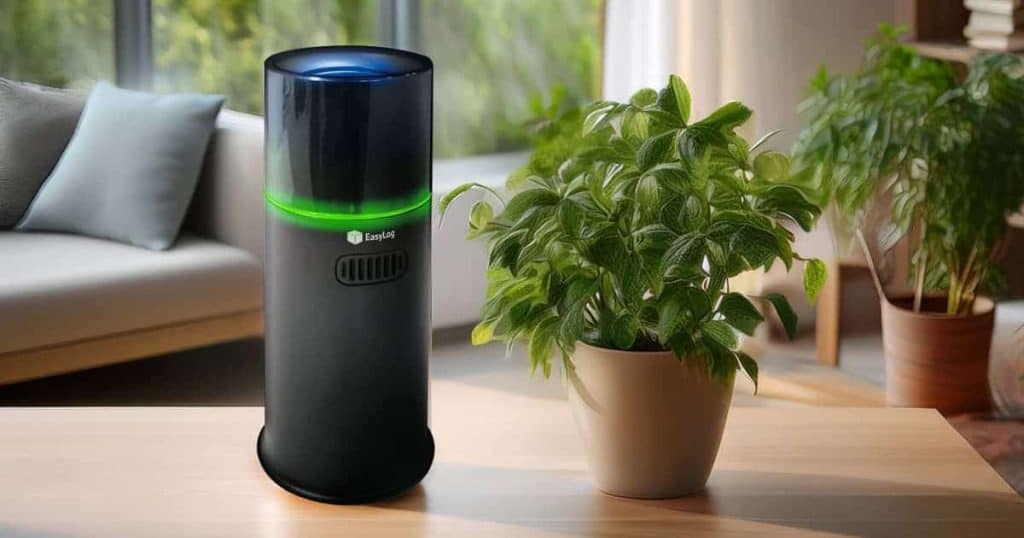 Air Quality | WEM with plant
