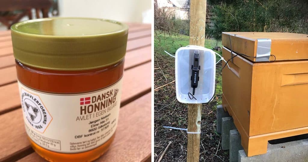 Honey in a jar and a beehive with EL-USB Logger